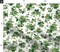 ivy leaves,botanical,english ivy,vines,greenery Custom Printed Fabric by Spoonflower Various Fabrics by the Yard or Fat Quarter